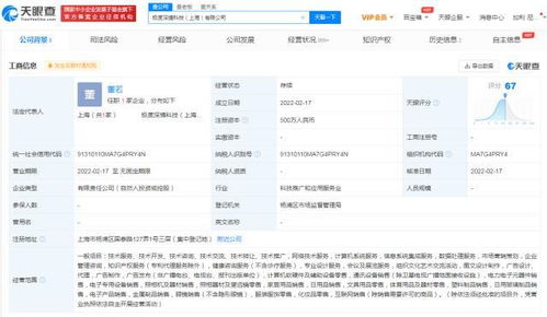 互聯(lián)網(wǎng)設(shè)備銷售 趨勢(shì)、挑戰(zhàn)與未來(lái)展望